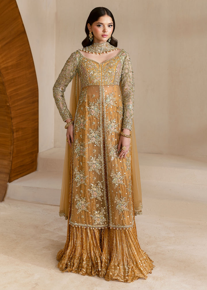 Buy Formal Dresses Pakistan Online | Saira Shakira Buy Formal Dresses Pakistan Online | Saira Shakira