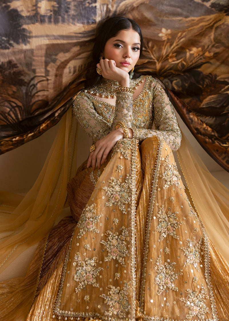 Dress Rassh Vira – Formal Dresses by Pakistani Brands | Saira Shakira