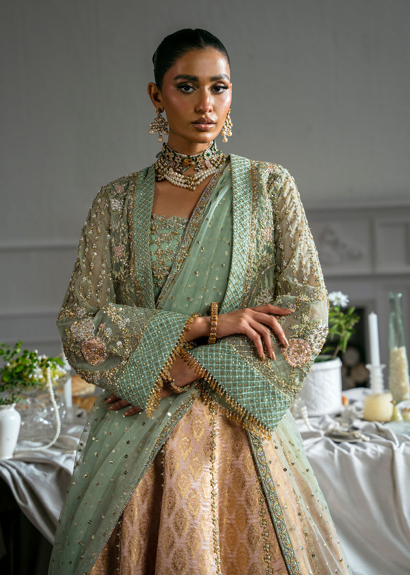Eleganza