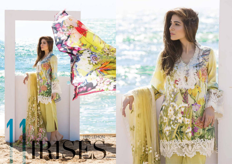 Irises – Lemon