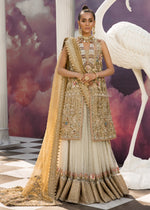 Magnificence Festive