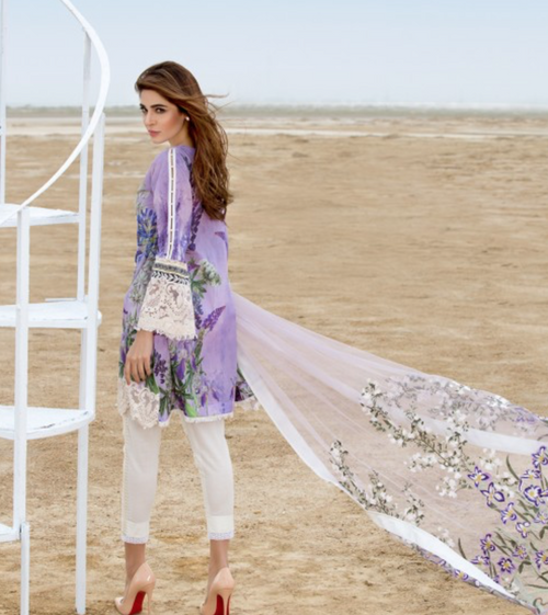 Irises – Lavender