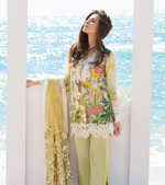 Irises – Lemon